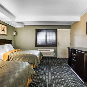 Double Room Two Double Beds Non-Smoking